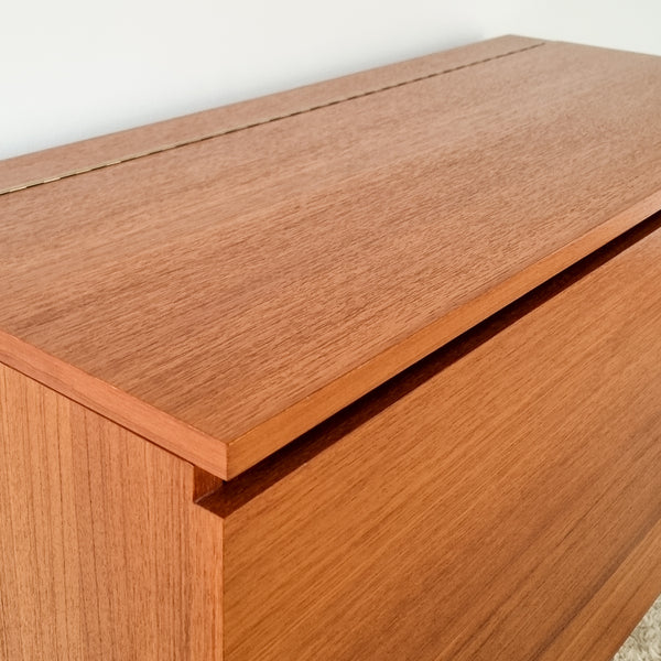 Vintage Modernist Teak Storage Chest