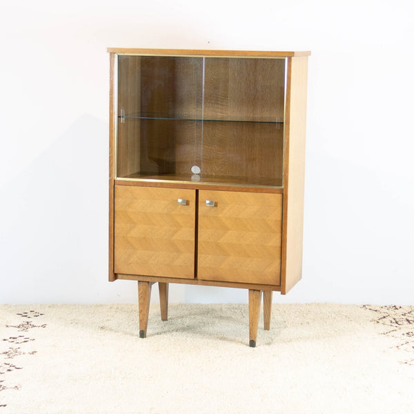 Vintage 50s Vitrine Library or Display Cabinet