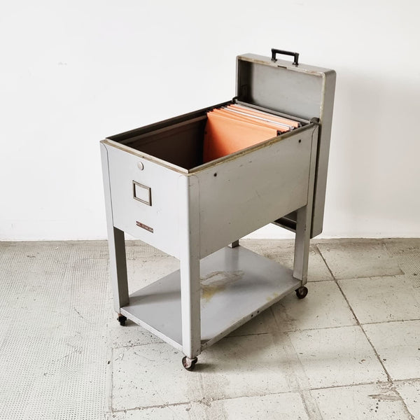§ Industrial File Cabinet - Vinyl Storage