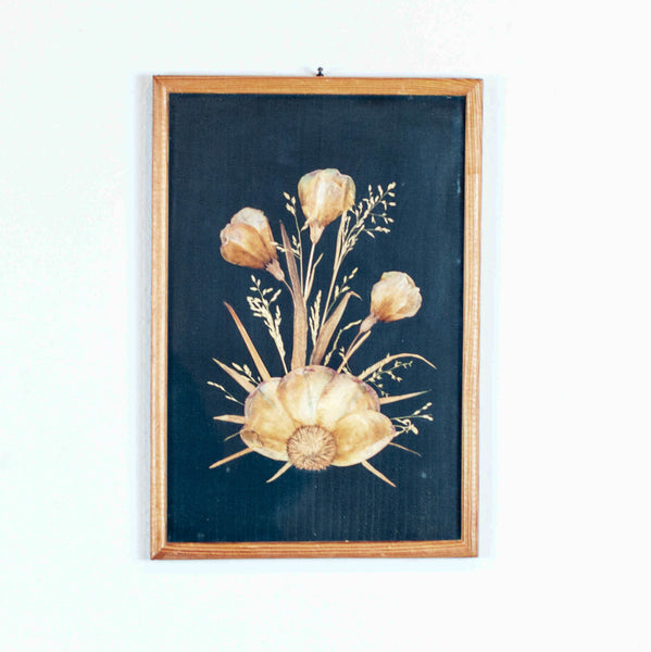 Oddhaus Vintage Luxembourg Botanical art pressed flower composition yellow and white with black background
