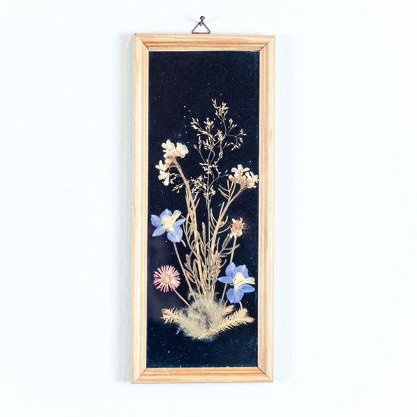 Oddhaus Vintage Luxembourg Botanical art pressed flower composition blue yellow pink on black background