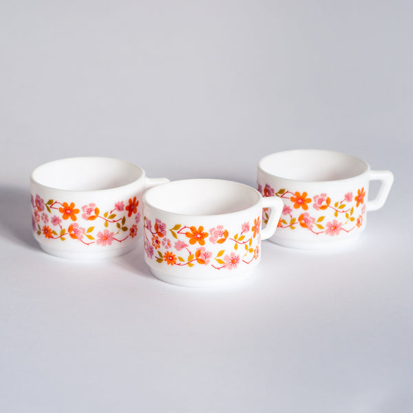 Tasses Arcopal France Scania