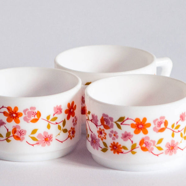 Tasses Arcopal France Scania