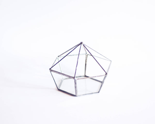 § Vintage Geometric Terrarium
